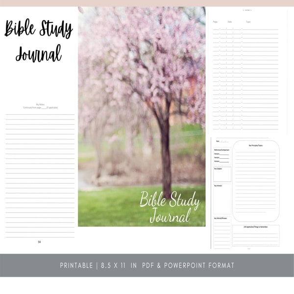 Writer's Journal Sales Page Graphic